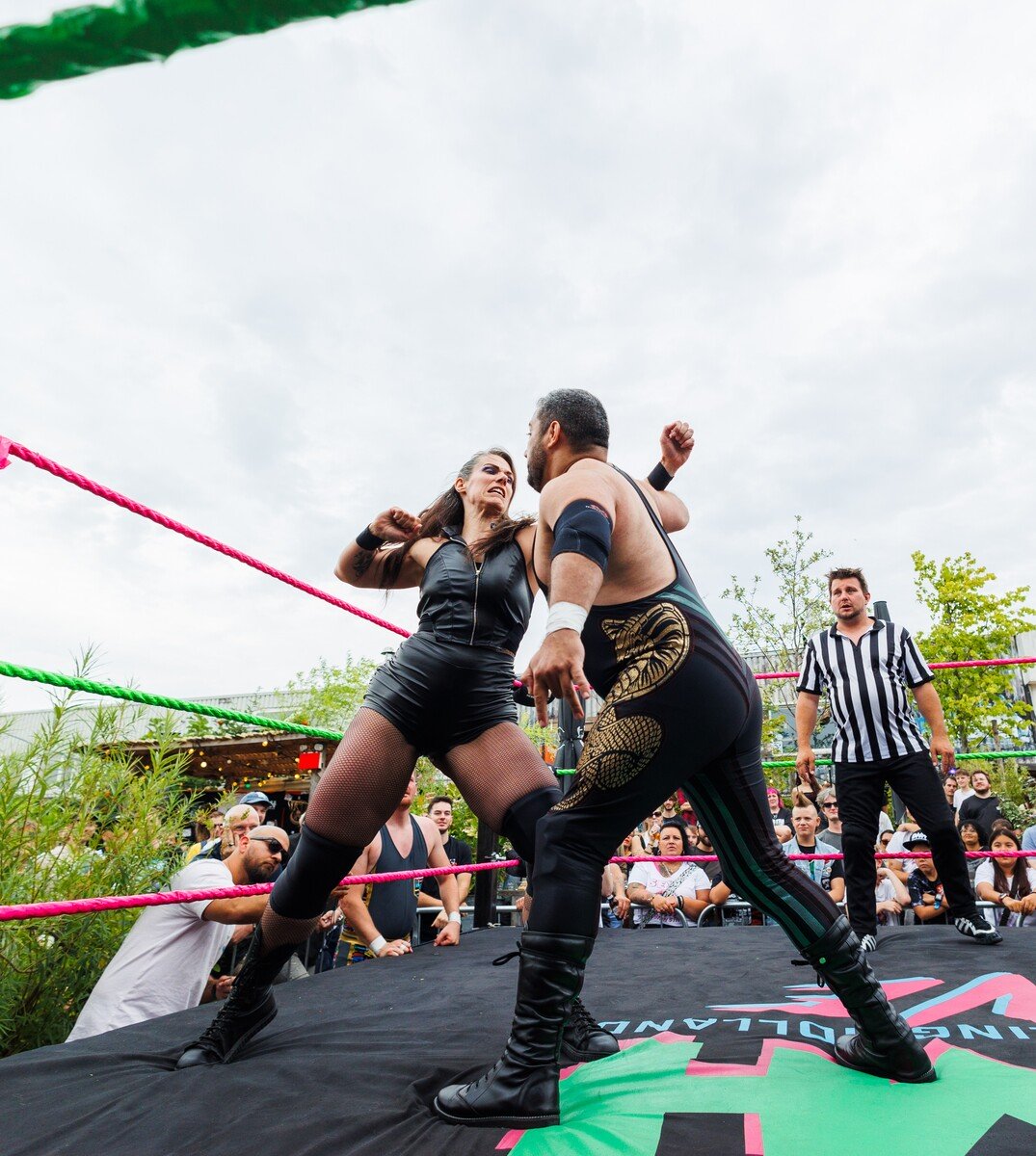 Pro Wrestling Holland Live