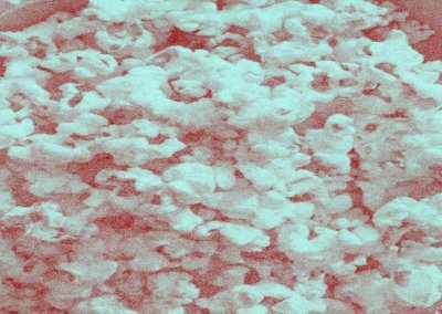 Cinema Seizoen bij de Nijverheid